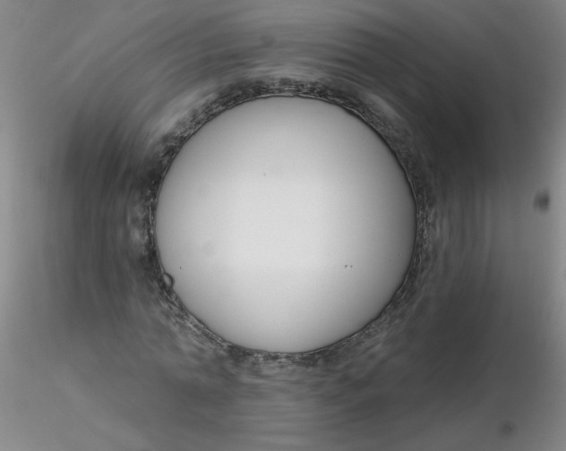 X0000116300774200912211901