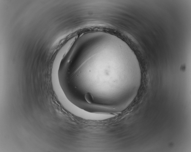 X0000116300775200912211901