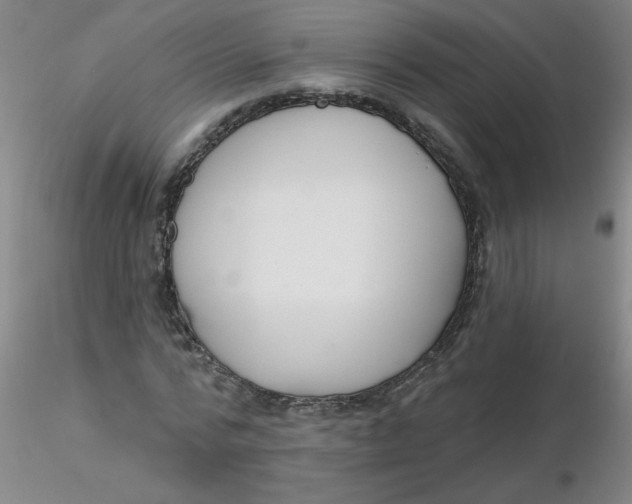 X0000116300776200912211901