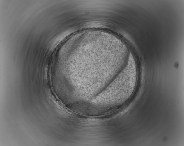 X0000116300777200912211900