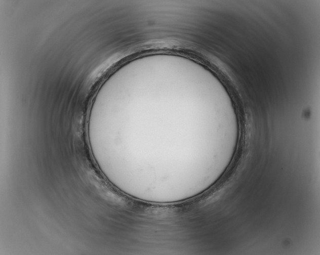 X0000116300778200912211900