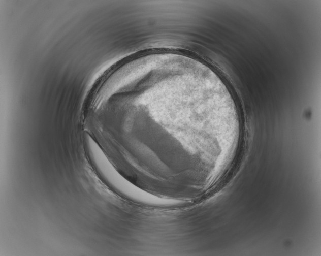 X0000116300779200912211900