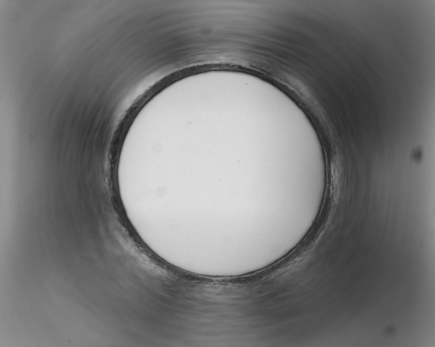 X0000116300780200912211900