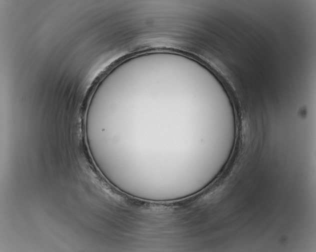 X0000116300782200912211900