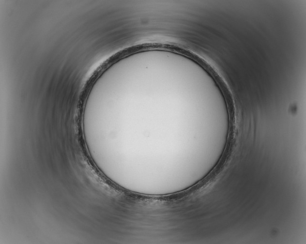 X0000116300783200912211900