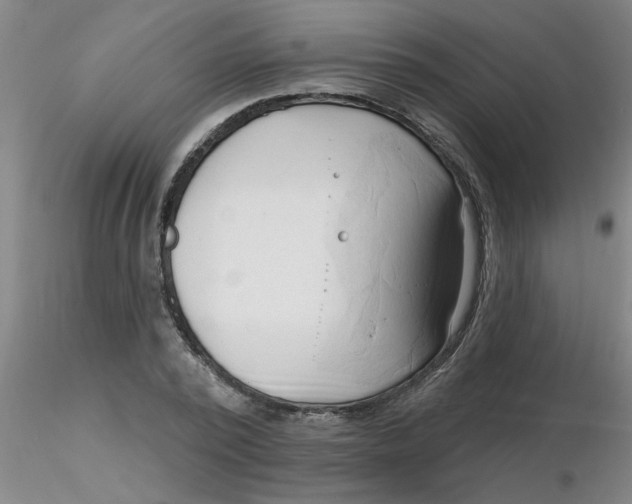 X0000116300784200912211900