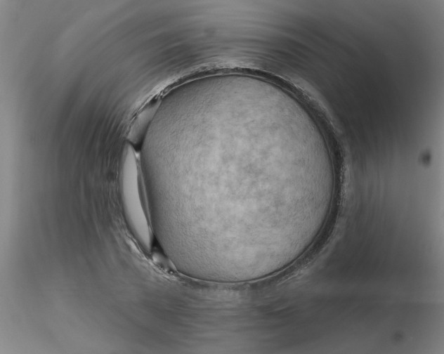 X0000116300785200912211900