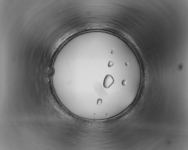 X0000116300786200912211900