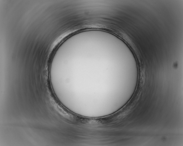 X0000116300787200912211900