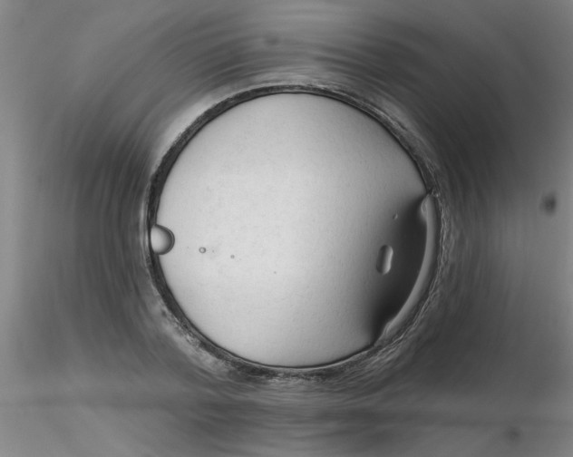 X0000116300788200912211900