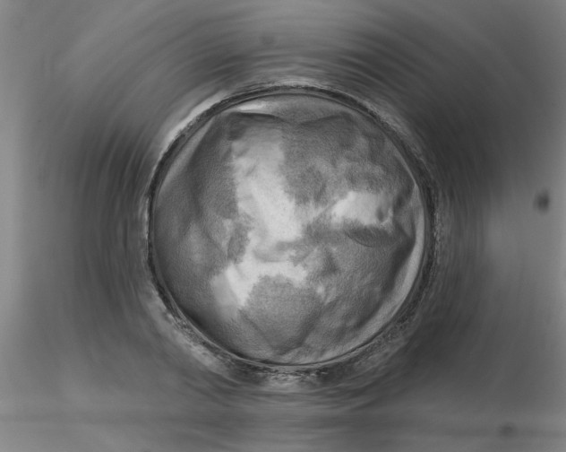 X0000116300790200912211900