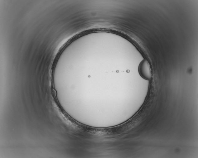 X0000116300791200912211900