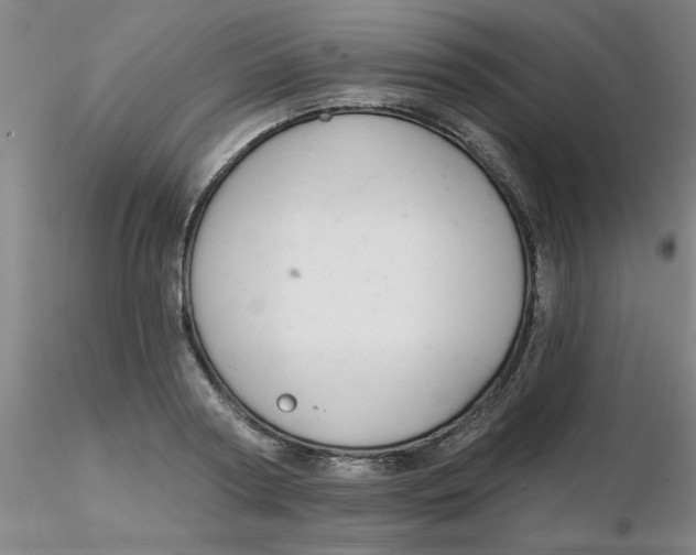 X0000116300794200912211900