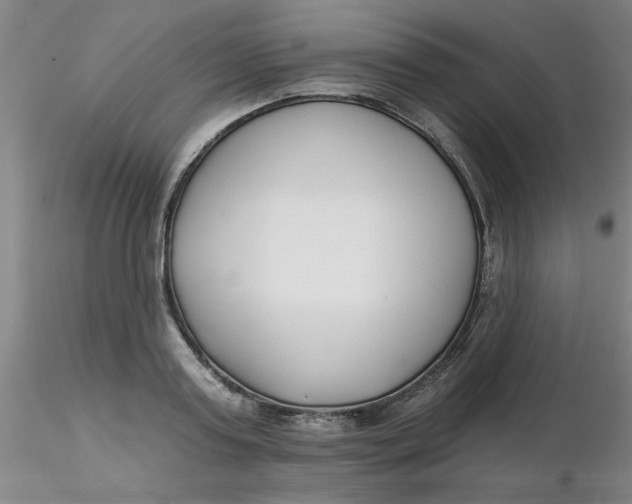 X0000116300795200912211900