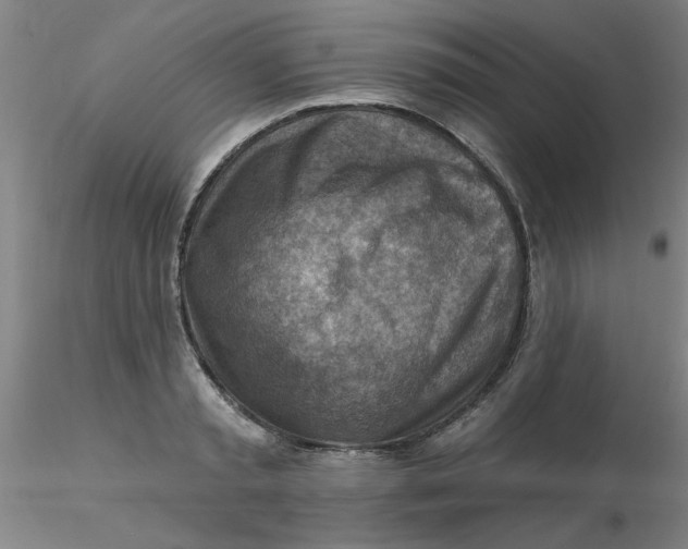 X0000116300797200912211900