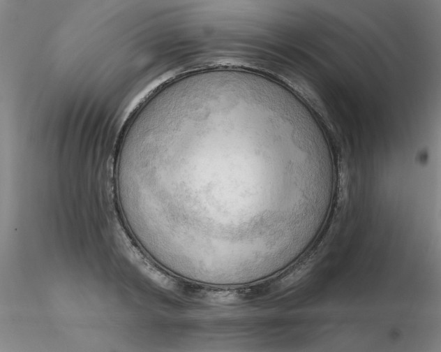 X0000116300798200912211900