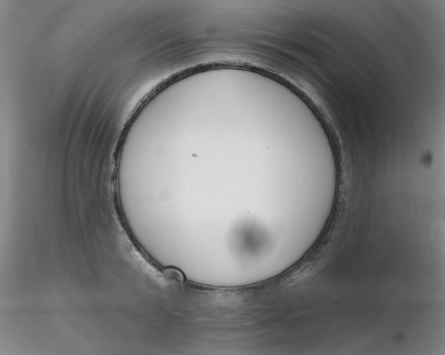 X0000116300799200912211900