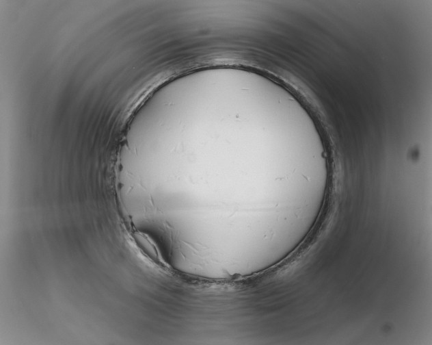 X0000116300801200912211900