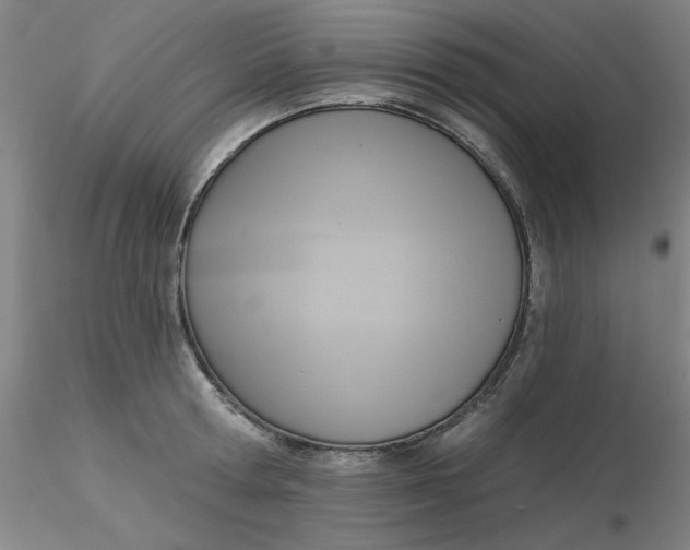 X0000116300802200912211900