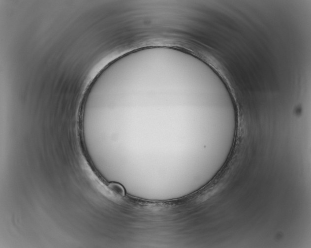 X0000116300803200912211900