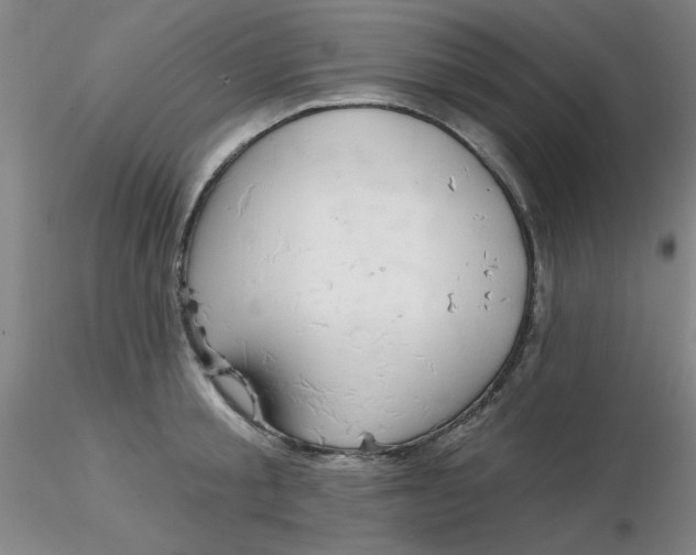 X0000116300805200912211900