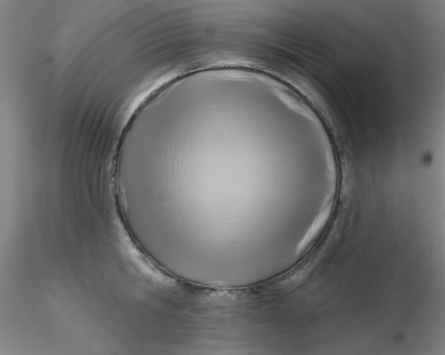 X0000116300806200912211900