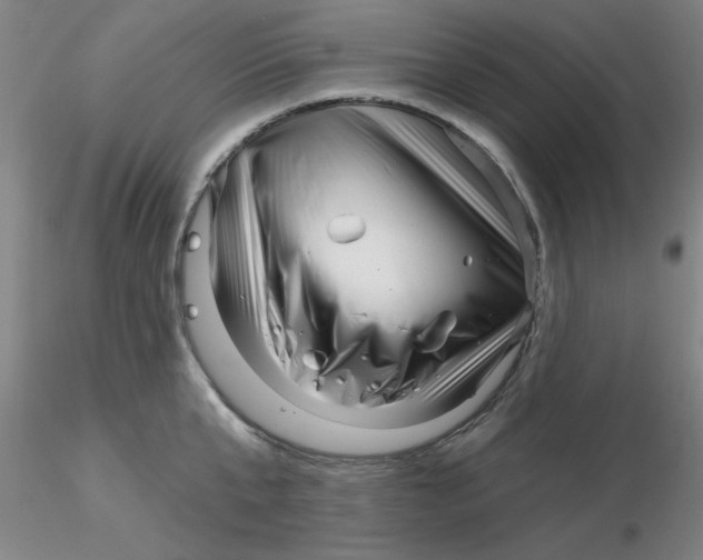 X0000116300807200912211900