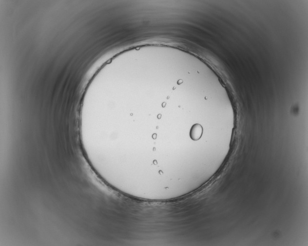 X0000116300808200912211900