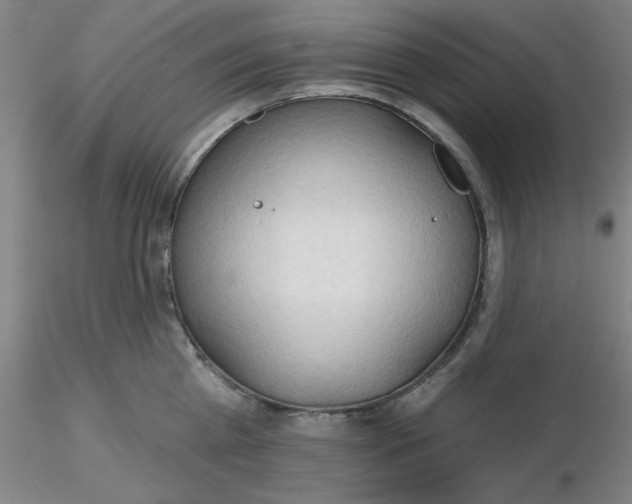 X0000116300809200912211900