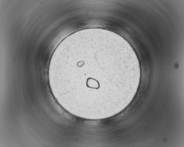 X0000116300810200912211900