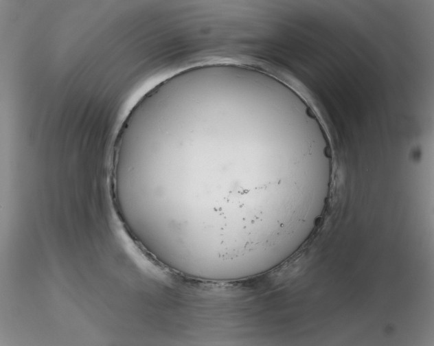 X0000116300811200912211900