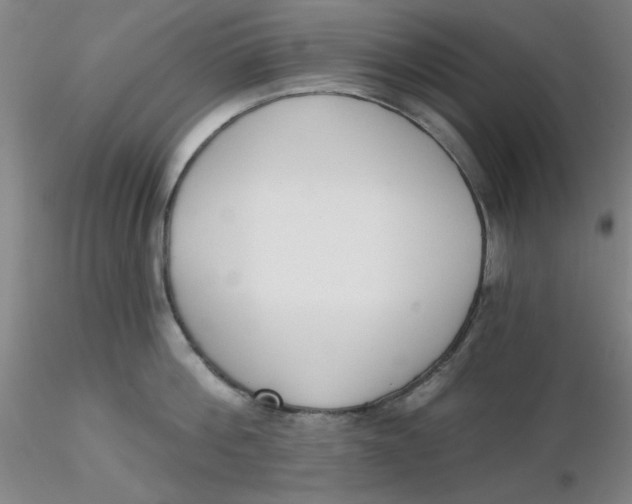 X0000116300812200912211900