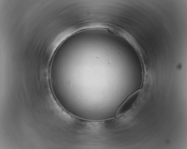 X0000116300813200912211900