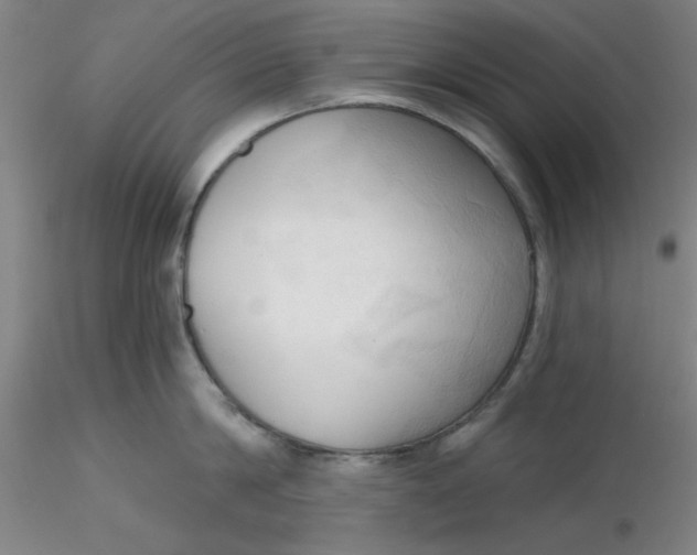 X0000116300814200912211900