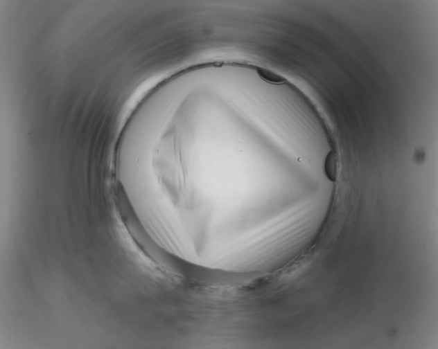 X0000116300815200912211900