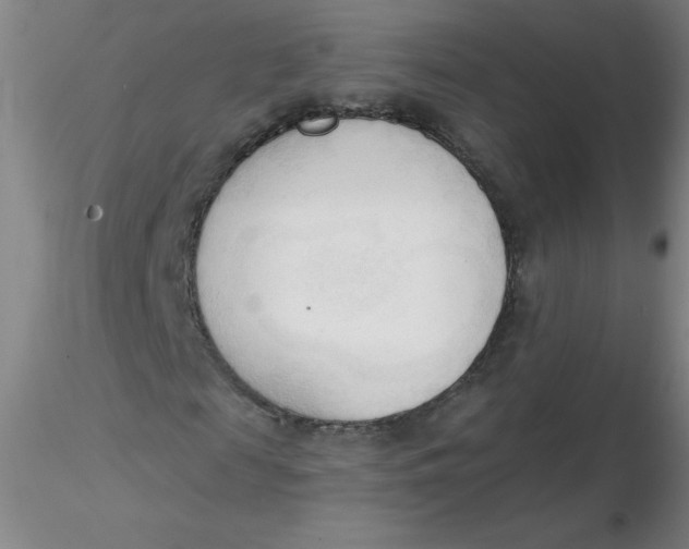 X0000116300817200912211859