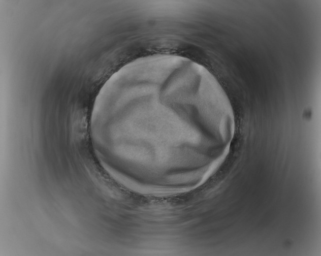 X0000116300818200912211859