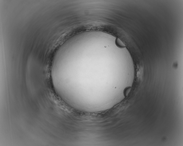 X0000116300819200912211859