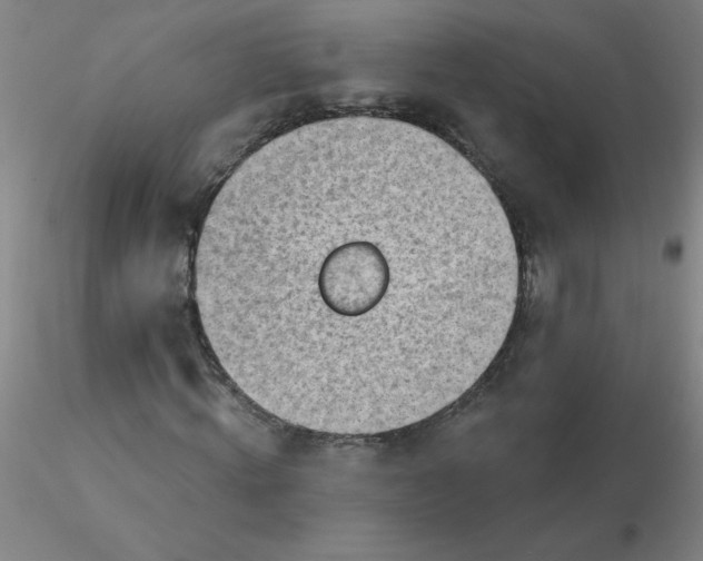 X0000116300820200912211859