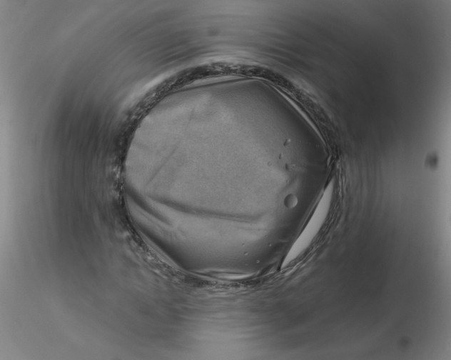 X0000116300822200912211859