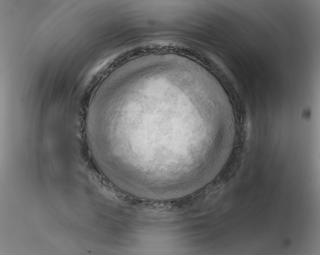 X0000116300823200912211859