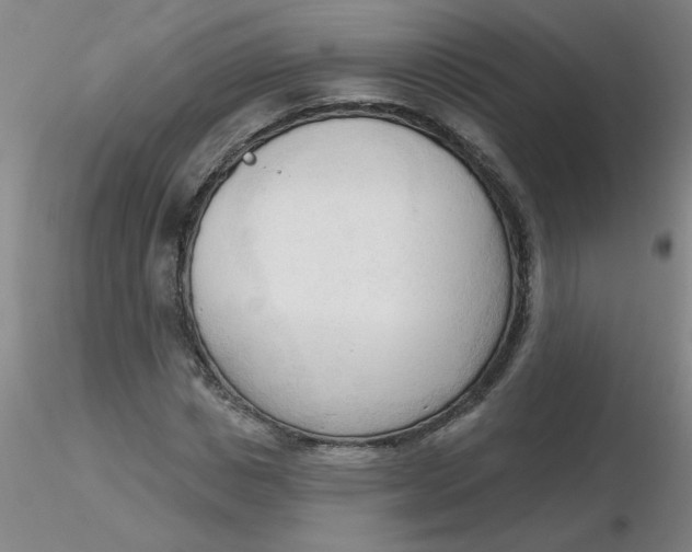 X0000116300825200912211859