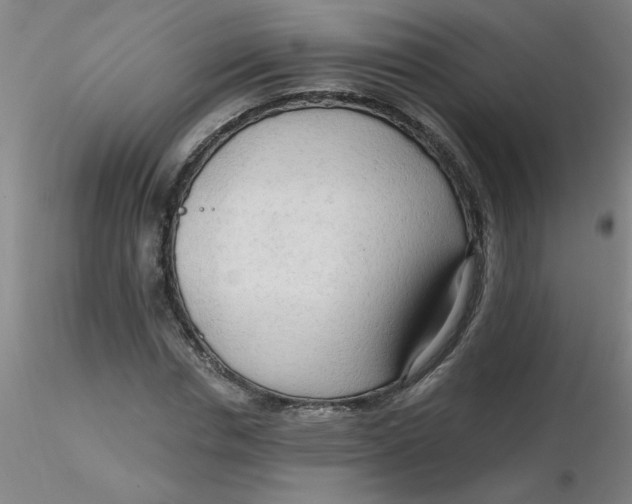 X0000116300826200912211859