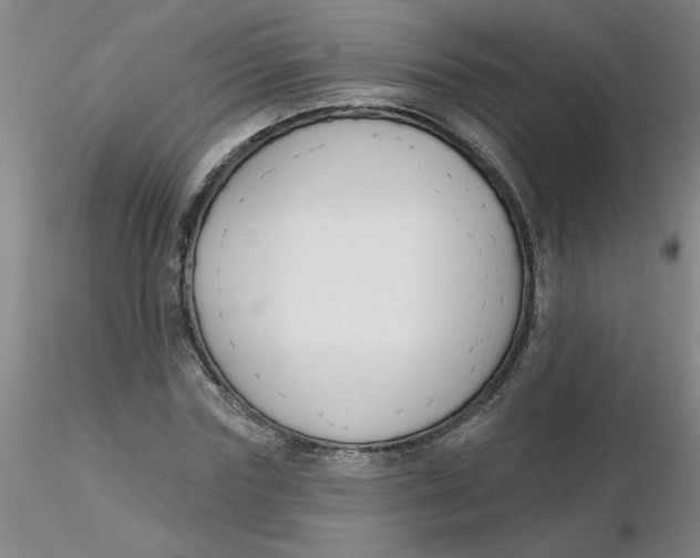 X0000116300827200912211859