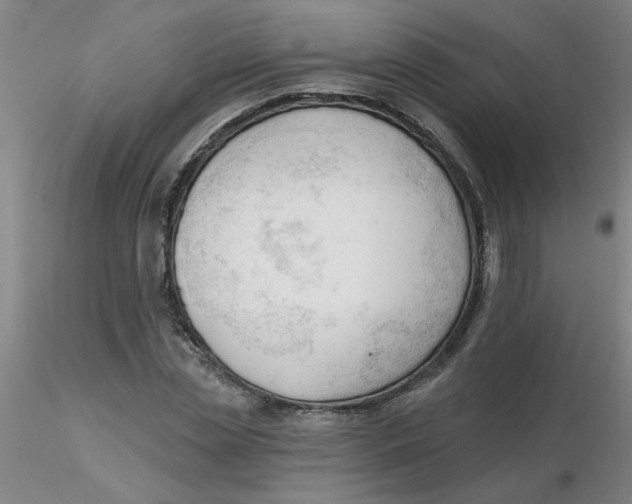 X0000116300829200912211859