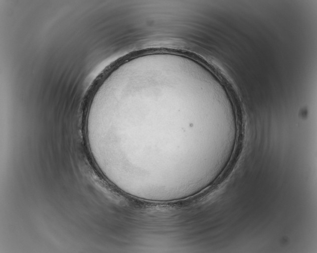 X0000116300830200912211859