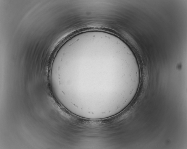 X0000116300831200912211900