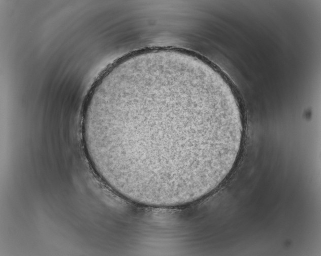 X0000116300832200912211900