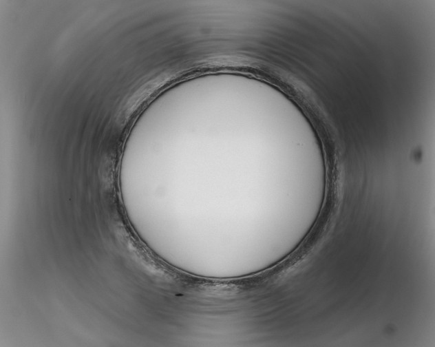 X0000116300833200912211900