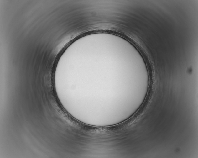 X0000116300834200912211900